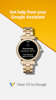 Scaricare Wear OS by Google Comunicazione per Android Screenshot 5