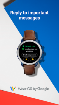 Scaricare Wear OS by Google Comunicazione per Android Screenshot 7