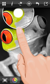Scaricare Color Splash FX Foto per Android Screenshot 3