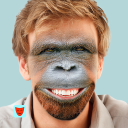 Scaricare  Face Swap