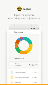 Карта Билайн