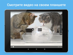 Scaricare Moy Mir Sociale per Android Screenshot 6
