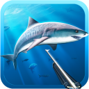Scaricare  Caccia lancia. Diving.