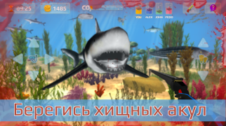 Scaricare Caccia lancia. Diving. Giochi di sport per Android Screenshot 2