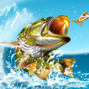 Scaricare  Pocket Fishing