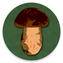 Scaricare  Book of Mushrooms