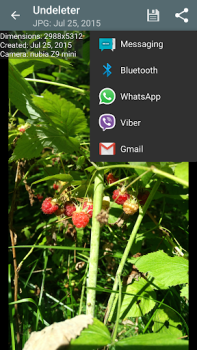 Scaricare Undeleter Recover Files & Data Strumenti per Android Screenshot 4