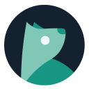 Scaricare  Evie Launcher