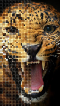 Scaricare Punto croce: Cross Stitch Giochi rompicapo per Android Screenshot 7