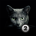 Scaricare  Find a cat 2