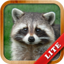 Scaricare Animals for Kids