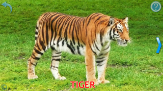 Scaricare Animals for Kids Apprendimento per Android Screenshot 2