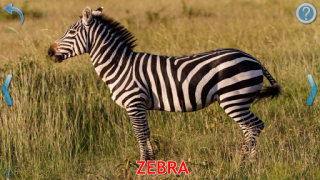 Scaricare Animals for Kids Apprendimento per Android Screenshot 3