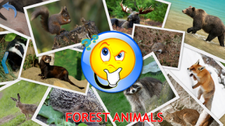 Scaricare Animals for Kids Apprendimento per Android Screenshot 5