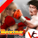 Scaricare  3D Boxing
