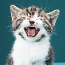 Scaricare  Cats sounds