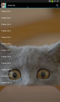 Scaricare Cats sounds Musica e audio per Android Screenshot 2
