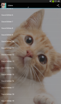 Scaricare Cats sounds Musica e audio per Android Screenshot 5