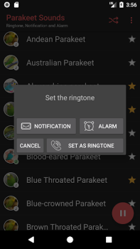 Scaricare Appp.io - Suoni Parakeet Intrattenimento per Android Screenshot 4