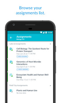 Scaricare Canvas Teacher Educazione per Android Screenshot 2