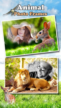 Scaricare All Animals Photo Frames 🐅 Wildlife 🐈 Cute Pets Foto per Android