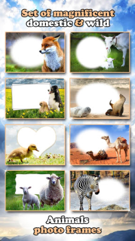 Scaricare All Animals Photo Frames 🐅 Wildlife 🐈 Cute Pets Foto per Android Screenshot 6