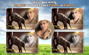 Scaricare All Animals Photo Frames 🐅 Wildlife 🐈 Cute Pets Foto per Android Screenshot 7