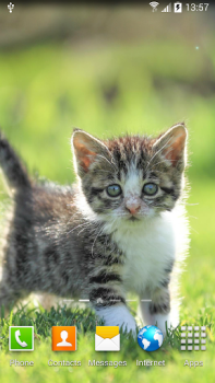 Scaricare Cat Live Wallpaper Personalizzazione per Android Screenshot 2