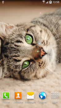 Scaricare Cat Live Wallpaper Personalizzazione per Android Screenshot 3
