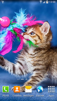 Scaricare Cat Live Wallpaper Personalizzazione per Android Screenshot 4