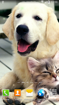 Scaricare Cat Live Wallpaper Personalizzazione per Android Screenshot 7