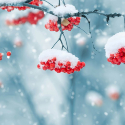 Logo Beautiful Winter Live Wallpape