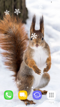 Scaricare Beautiful Winter Live Wallpape Personalizzazione per Android Screenshot 5