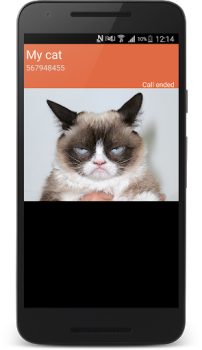 Scaricare telefonata falso Intrattenimento per Android Screenshot 2
