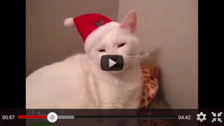 Scaricare Free Funny Videos for Whatsapp Intrattenimento per Android Screenshot 7
