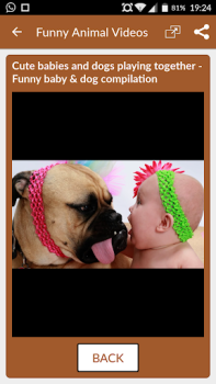 Scaricare Funny Animal Videos: Cats Dogs Intrattenimento per Android Screenshot 3