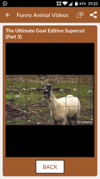 Scaricare Funny Animal Videos: Cats Dogs Intrattenimento per Android Screenshot 6