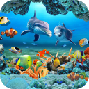 Scaricare  Koi Pesce Sfondi Animati 3D