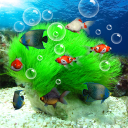 Scaricare  Acquario