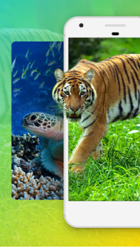 Scaricare Sfondi di Animali Personalizzazione per Android Screenshot 2