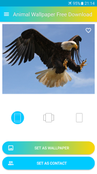Scaricare Sfondi di Animali Personalizzazione per Android Screenshot 4