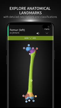 Scaricare Anatomyka - Anatomia 3D Medicina per Android Screenshot 2