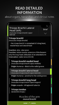 Scaricare Anatomyka - Anatomia 3D Medicina per Android Screenshot 3