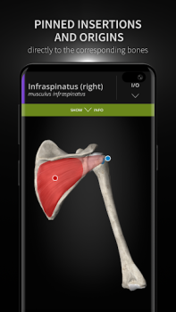 Scaricare Anatomyka - Anatomia 3D Medicina per Android Screenshot 4