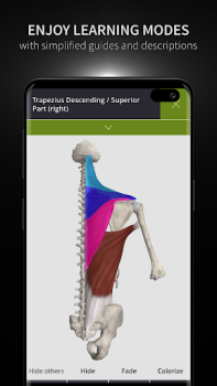 Scaricare Anatomyka - Anatomia 3D Medicina per Android Screenshot 6