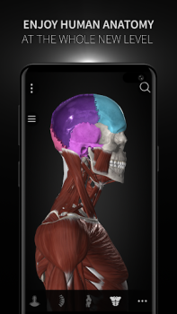 Scaricare Anatomyka - Anatomia 3D Medicina per Android Screenshot 7