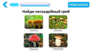 Scaricare Подготовка к школе: полный кур Educazione per Android Screenshot 3