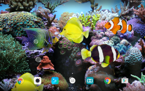 Scaricare Coral Fish 3D Live Wallpaper Personalizzazione per Android Screenshot 7