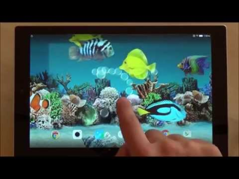 Scaricare Coral Fish 3D Live Wallpaper Personalizzazione per Android Screenshot 8
