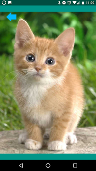 Scaricare Suoni di animali Intrattenimento per Android Screenshot 3